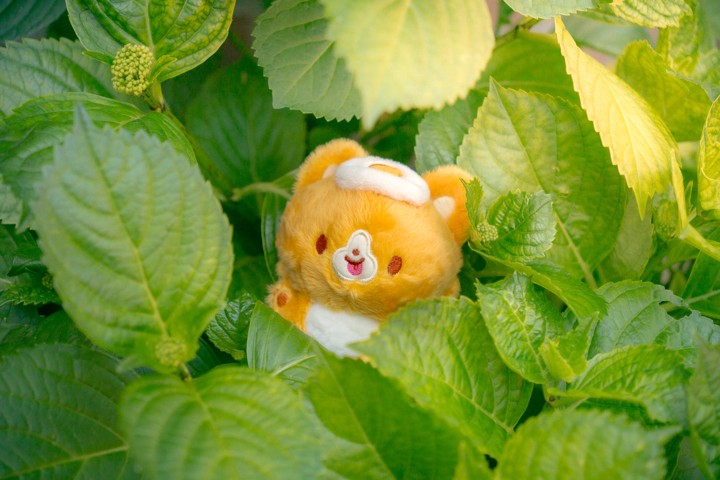 Baby Mochi Plush Keychain